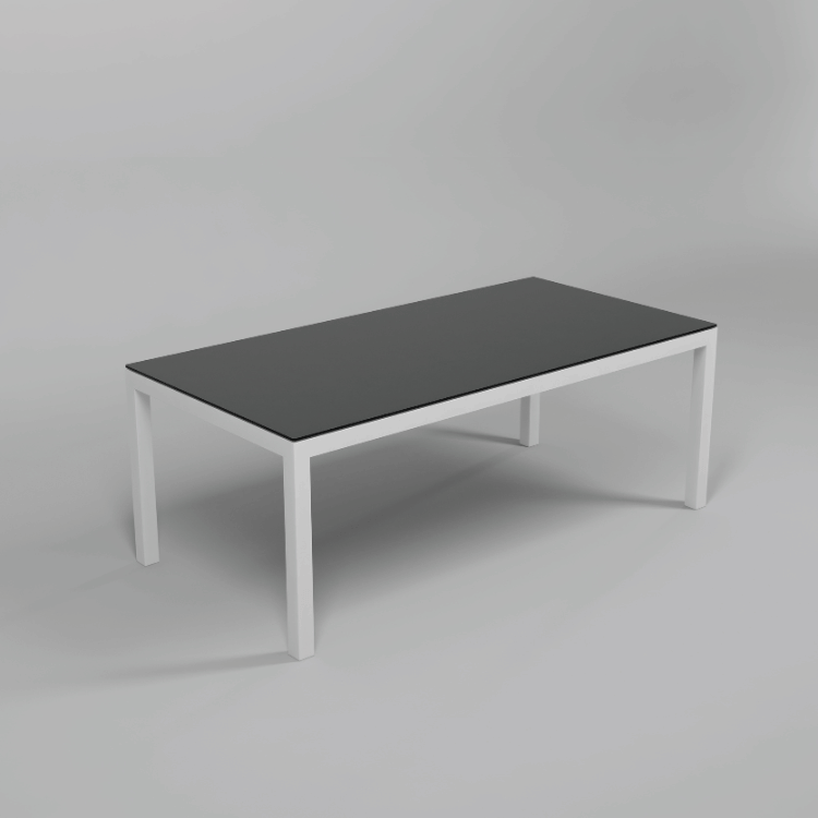 Exklusiver Esstisch XL weiß – 250x100 - Wohnzimmertisch 10 Personen (witterungsbeständig) (Kopie) (Kopie)